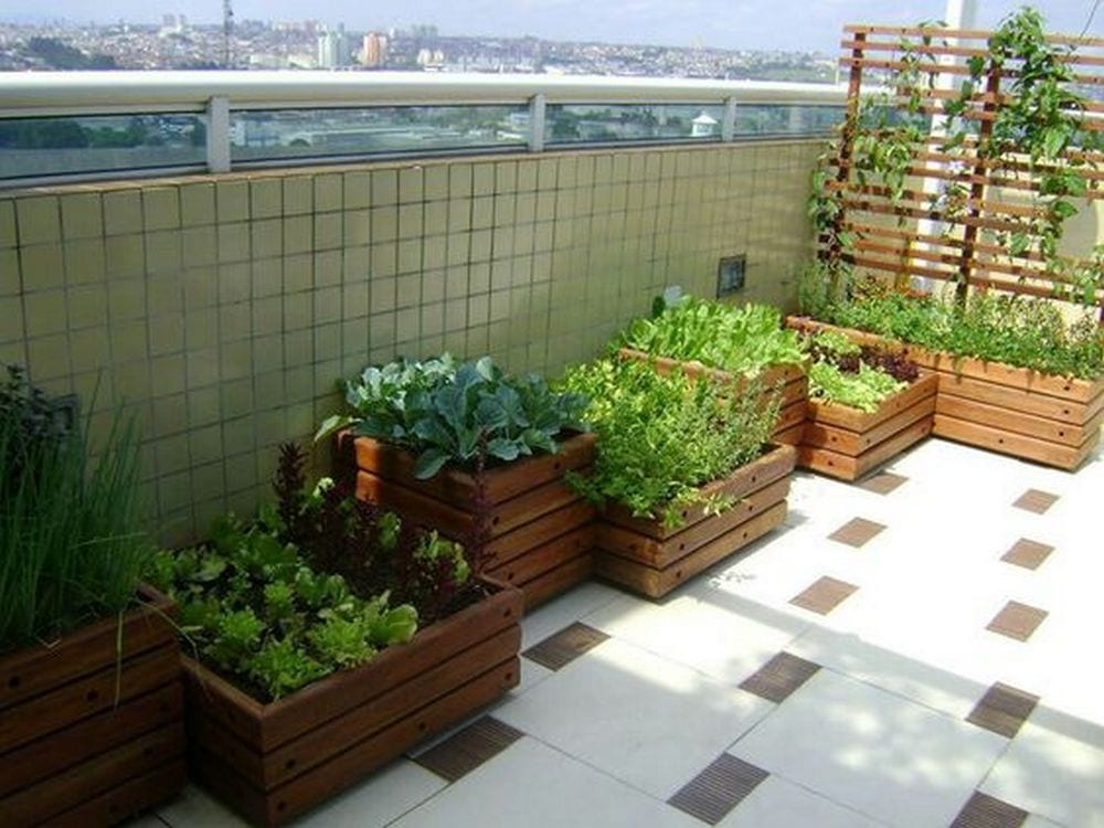 Balcony-Vegetable-Garden-07-2.jpeg